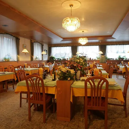 Hotel Alpe 3*